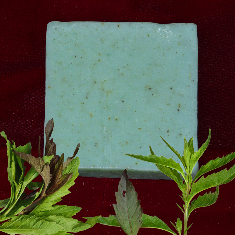 Best Organic Soap Bars | Epazote Soap